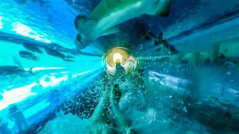 golden nugget slide shark tank.